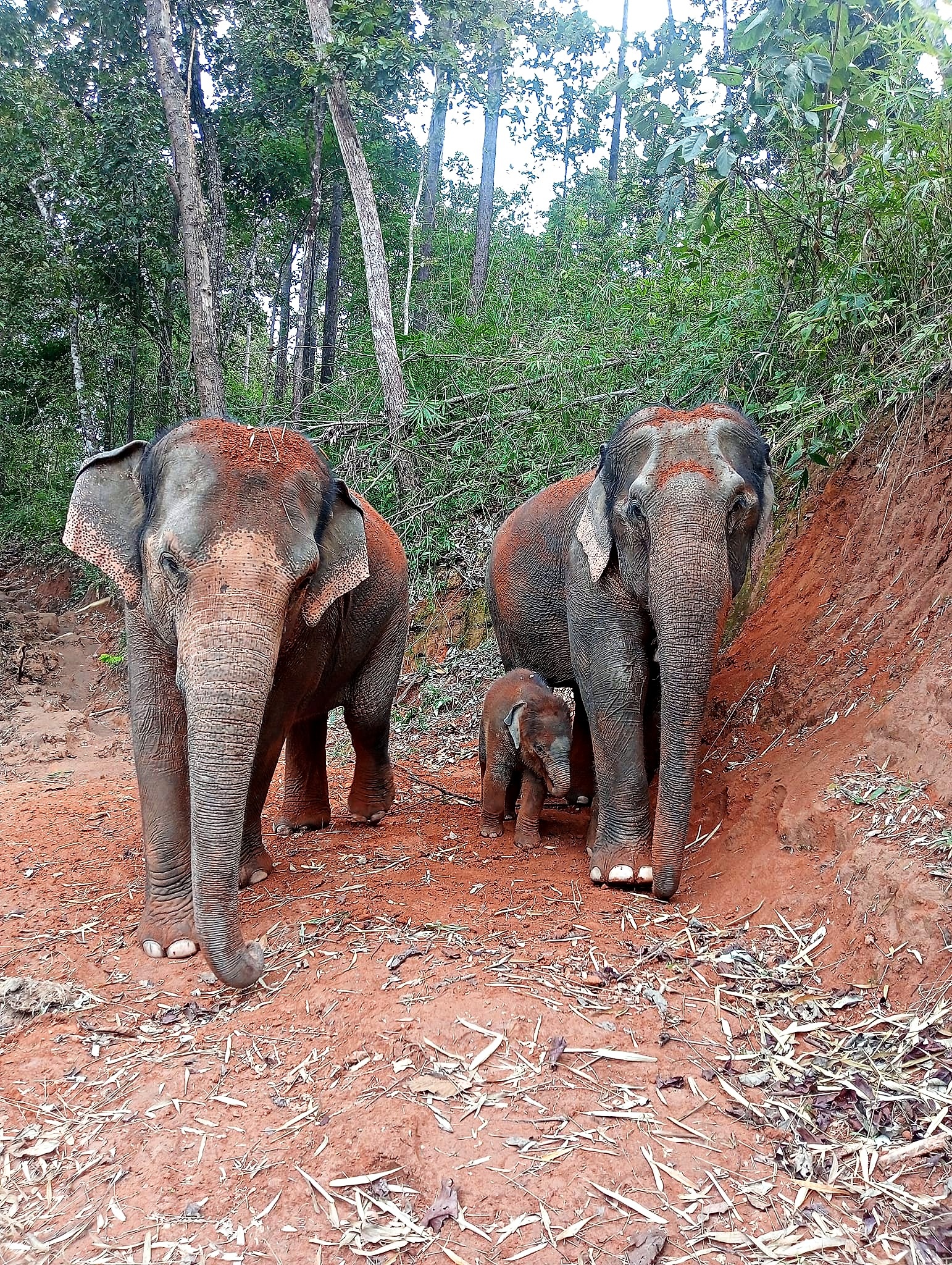 South Half-Day Adventure Tour