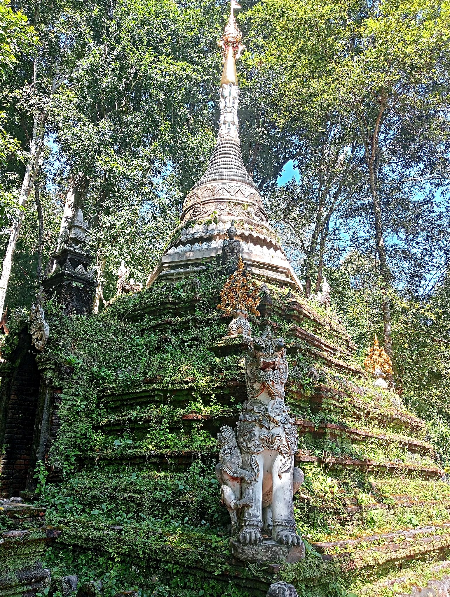 Moss-covered Lanna chedi with singha guardian in the jungle